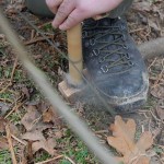 Refresh critical fire-lighting techniques such as bow drill Proficient bow-drill technique
