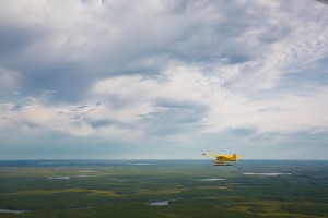 Float plane over boreal forest