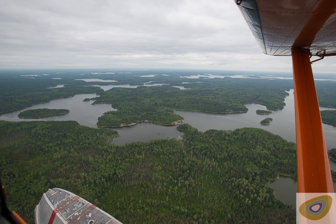 View of northern coniferous forest from the window of a Beaver floatplane