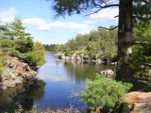 French River - a beautiful environment