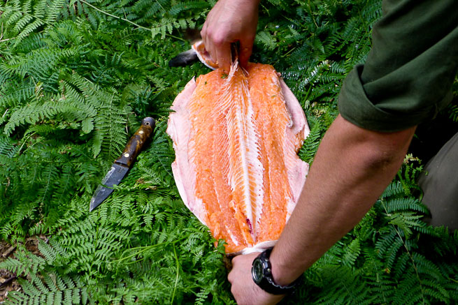 Fileting salmon for ponassing