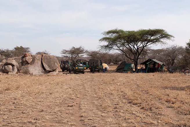 Lightweight mobile safari crew and vehicles, Serengeti wilderness area