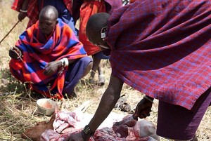Massai butchering a goat