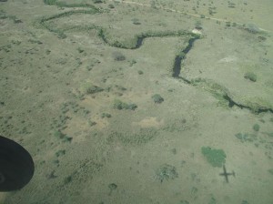 Serengeti from the air
