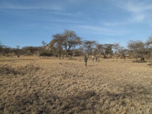 Walking safari in the Serengeti with Frontier Bushcraft