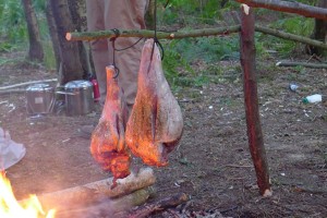 Legs of lamb roasting over the fire on a Family Bushcraft Course.