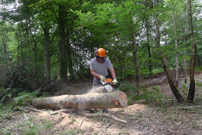 Ian using chainsaw to make planks