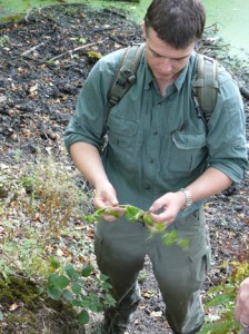 Paul Kirtley showing plant.