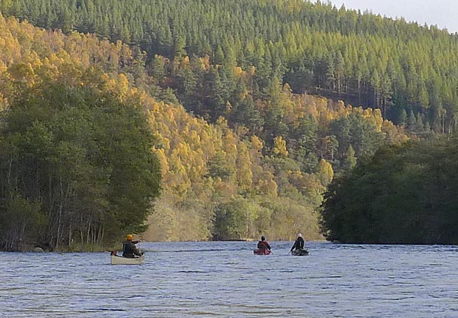 Autumnal trees on River Spey Descent