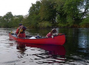 Ray Goodwin and his dog, Dillie, on the River Spey
