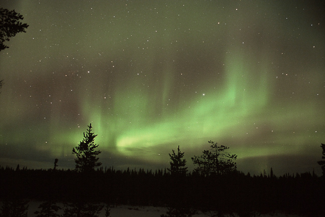 Curtain of aurora borealis, northern lights