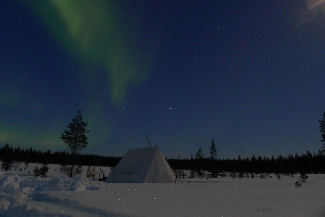 Aurora borealis, northern lights, over tent in Arctic Sweden