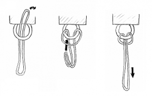 forming a cow hitch with a continuous loop of cordage