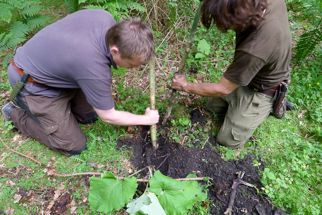 Students on an Intermediate Bushcraft course digging for roots