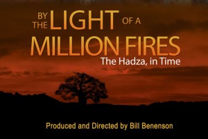 By The Light of a Million Fires movie poster