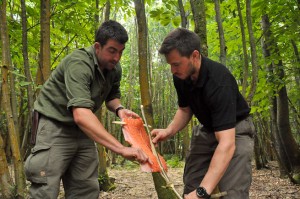 Bushcraft instructors preparing salmon for ponassing