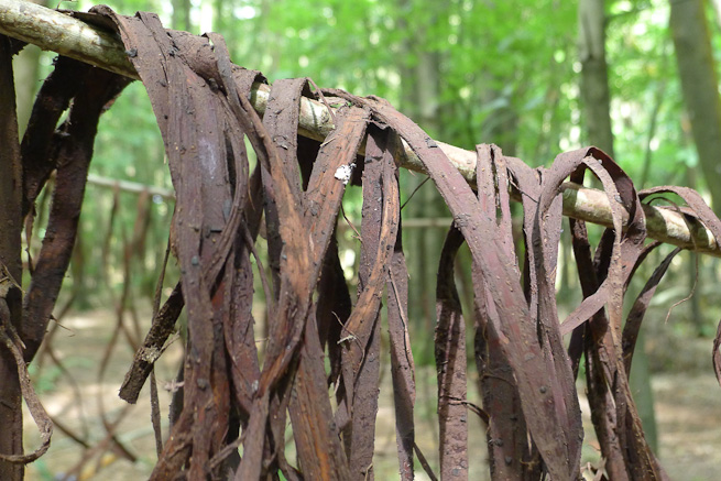 Strips of willow bark drying on a rack