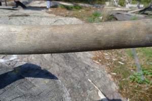 Poorly maintained hickory axe handle