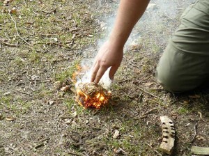 Flaming bundle of honeysuckle bark following success with hand drill friction firelighting