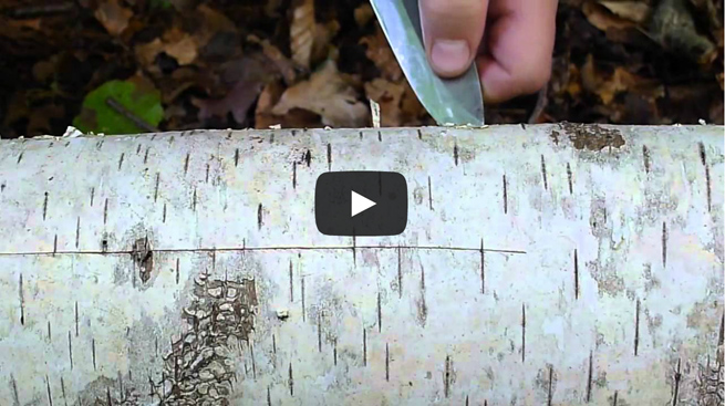 Using a bushcraft knife to help in the removal of tree bark