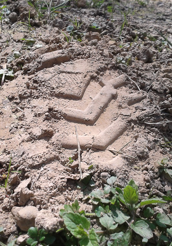 Footprint found on tracking exercise