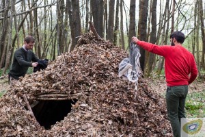 People building a leaf shelter or debris hut