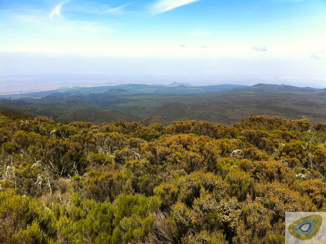 View from slopes of Kilimanjaro over heathland below