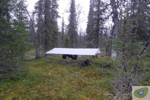 MEC Scout Siltarp pitched in boreal forest of northern Sweden