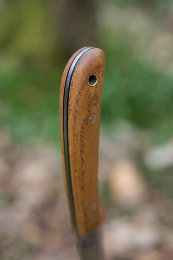 Ash knife scales shown vertically with shallow depth of field to cut out background