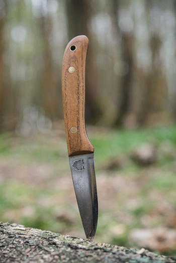 Unsheathed small bushcraft knife stuck in log shown vertically