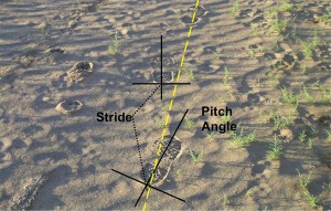 Footprints in the sand with overlay of the tracking concepts of stride and pitch angle