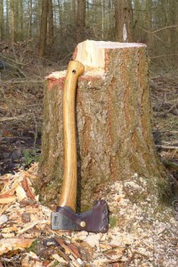 Axe by a tree stump
