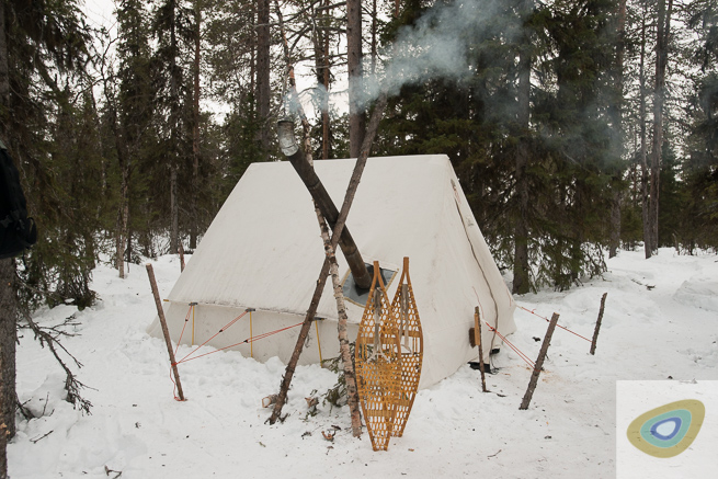 Snowtrekker tent in Swedish boreal forest