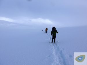 skiing into the wind in norway
