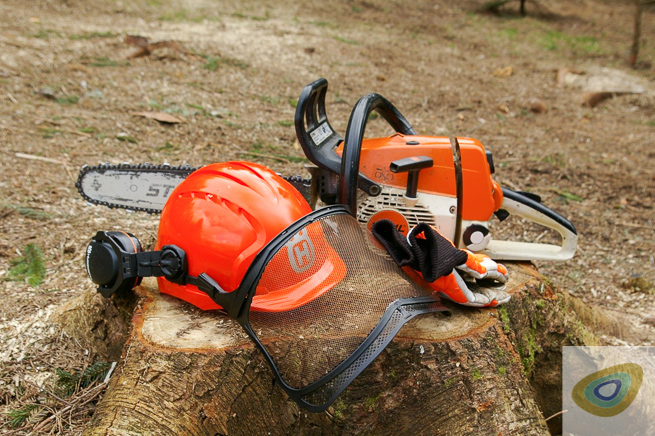 power tools used to chop and limb logs