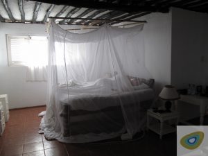 mosquito net over bed