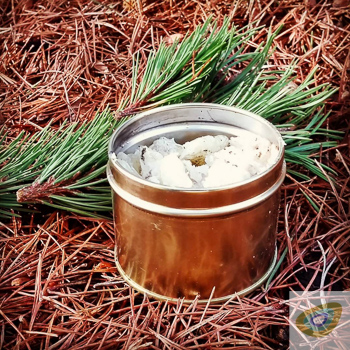 Pine resin in a tin next to a sprig of pine