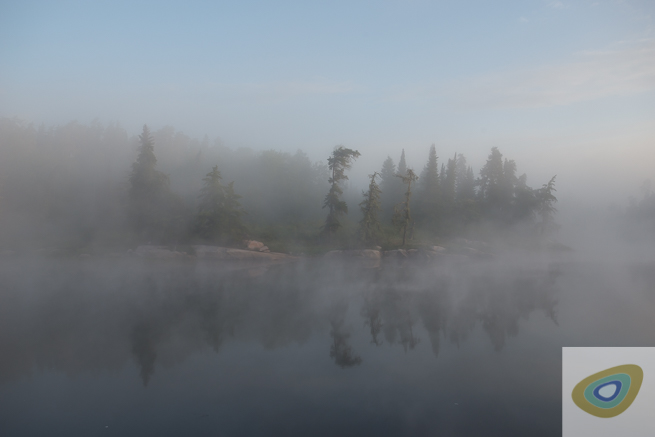 Jack pine, balsam fir and spruce through mist over a river