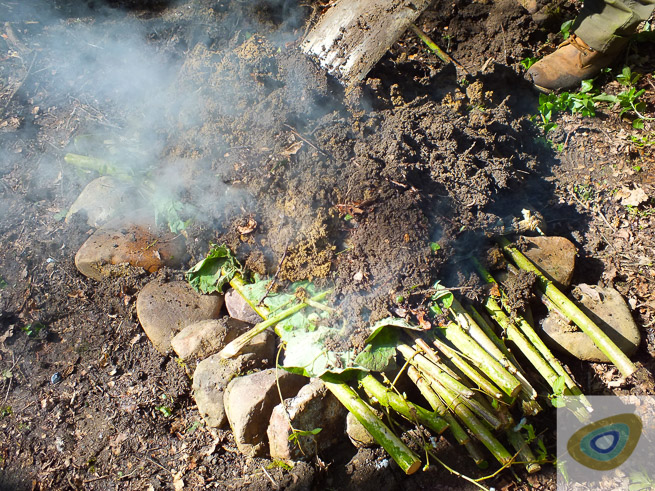Protecting food from soil in the pit oven