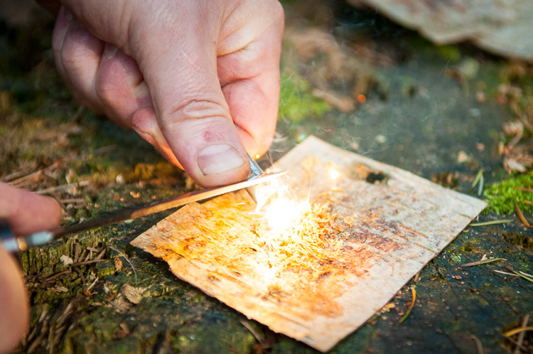 large and bright sparks onto a birch bark sheet