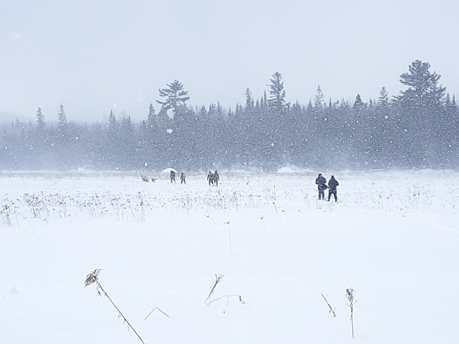 People walking in heavy snowfall with strong snow flurries