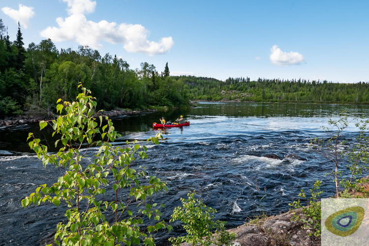 Canoe leaving flat water on a tougue of water, entering a remote wilderness rapid